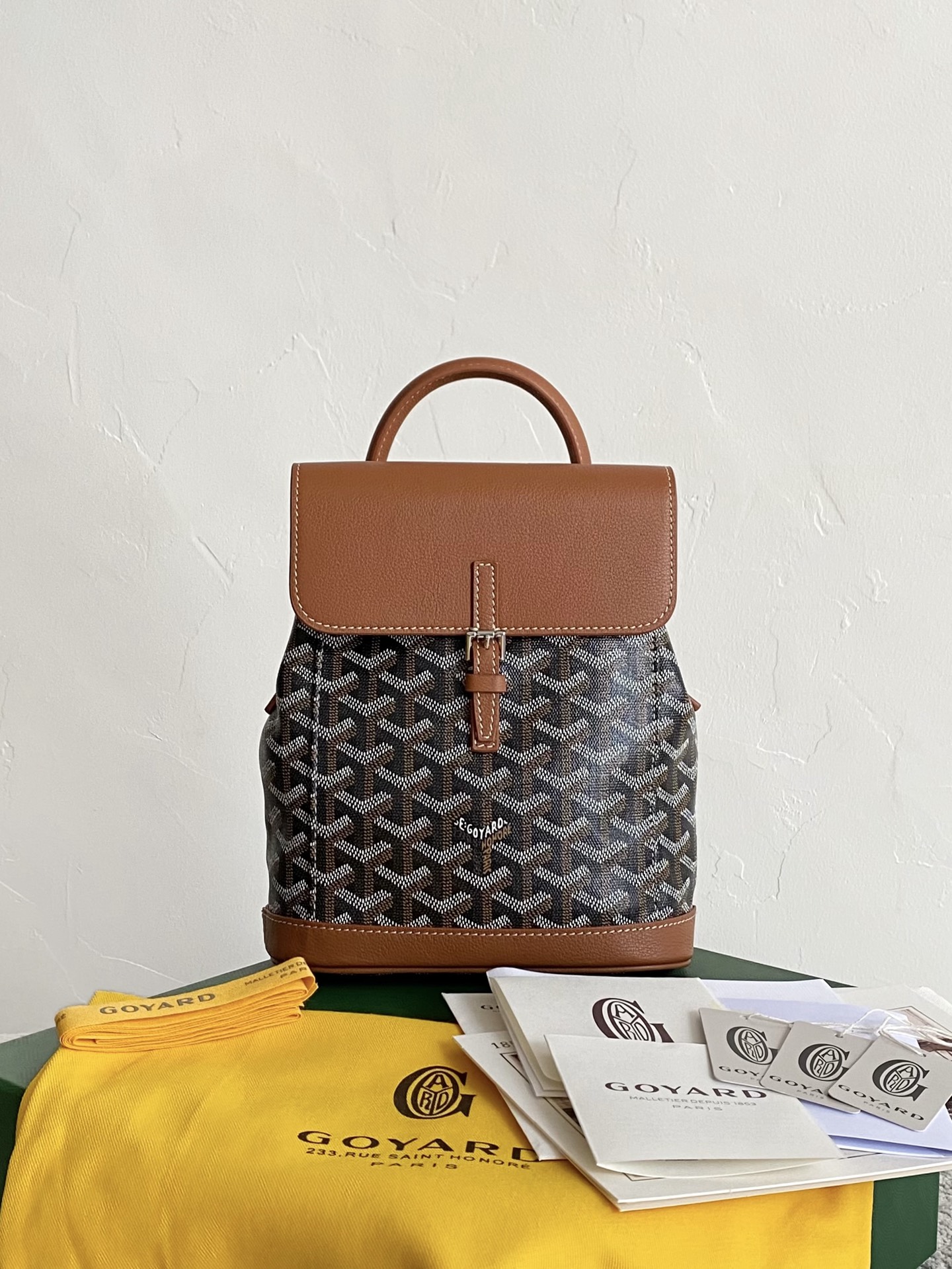 GOYARD Alpin Mini Backpack 23×19×9.5cm