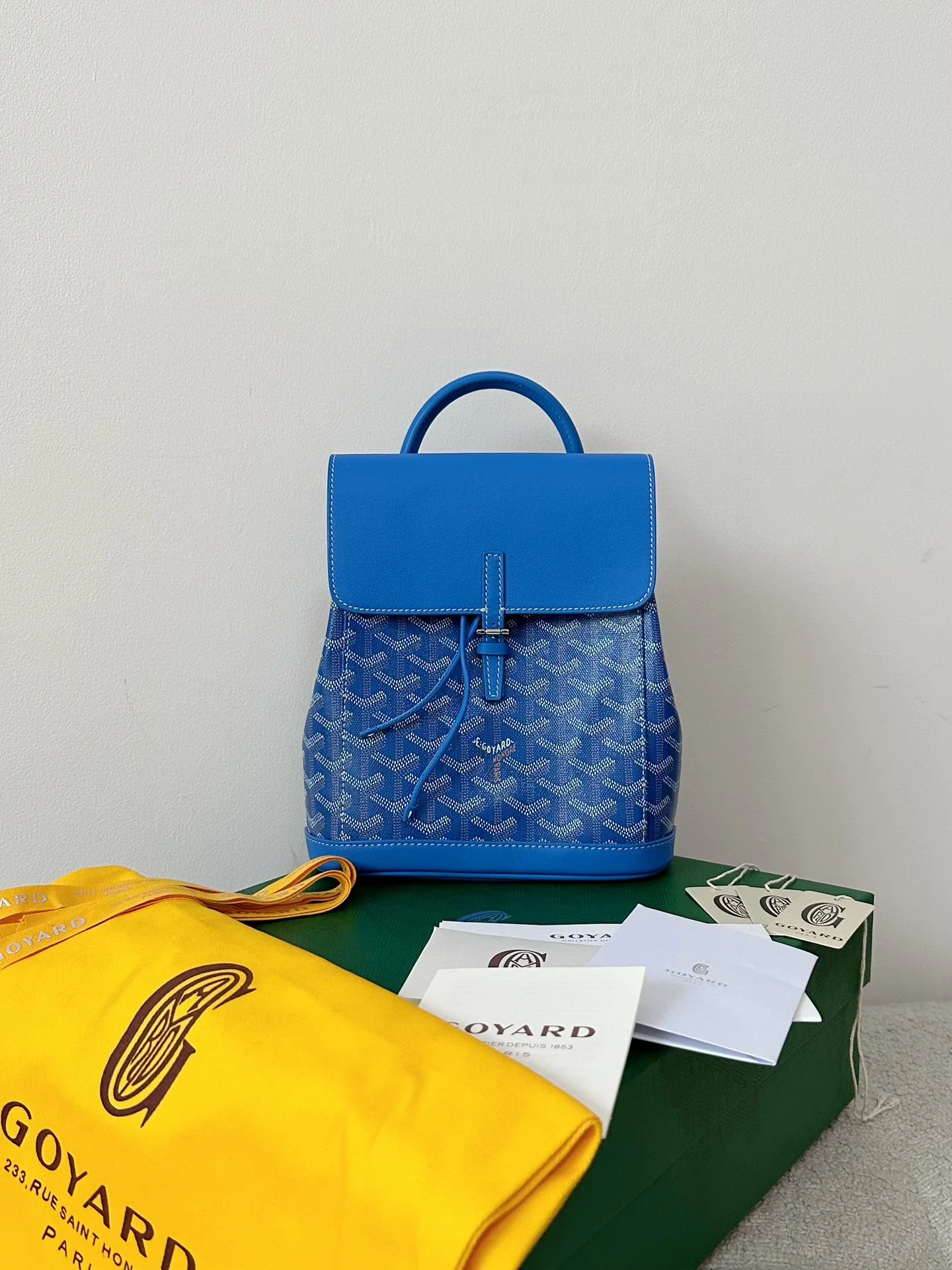 GOYARD Alpin Mini Backpack 23×19×9.5cm